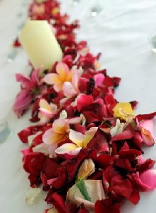 Luxury cetnterpices with tropical flowers Luxury cetnterpices with tropical flowers