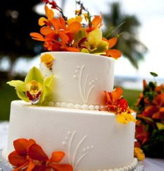 Luxury Tropical wedding Cake Luxury Tropical wedding Cake