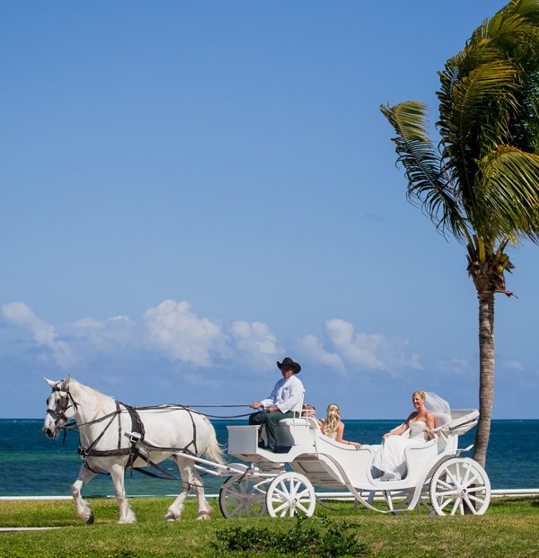 Moon Palace Greek Orthodox Wedding _horse carriage bridal entrance