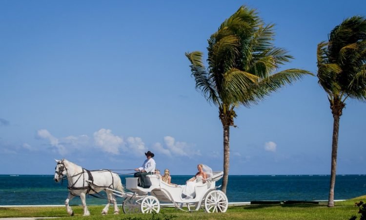 Bugambilia Gazebo Horse carriage